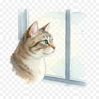 Curious Cat by a Window