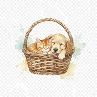 Cozy Cat and Dog Basket