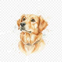 Curious Dog Gazing Upward