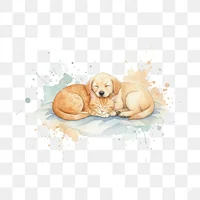 Cozy Sleeping Cat and Dog