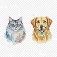 Elegant Cat and Dog Portraits