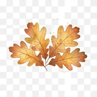 Autumn Oak Leaves Cluster