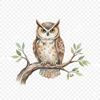 Majestic Owl Perched Watercolor Clip Art