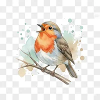 Charming Robin Singing Watercolor Clip Art