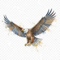 Soaring Eagle Watercolor Clip Art