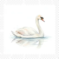 Graceful Swan Floating Watercolor Clip Art