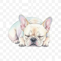 Sleeping French Bulldog Clip Art