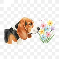 Curious Beagle Sniffing Flowers