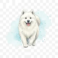 Friendly Samoyed Clip Art