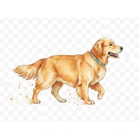 Loyal Dog Walking Pose