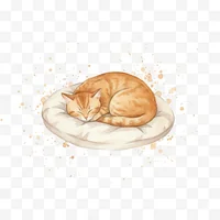 Peaceful Sleeping Cat on Cushion